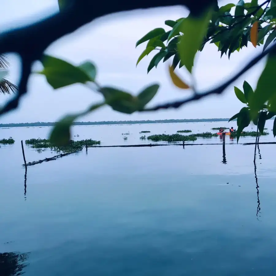 Calm lake waters framed by leaves
